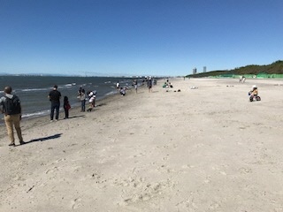いなげの浜昼
