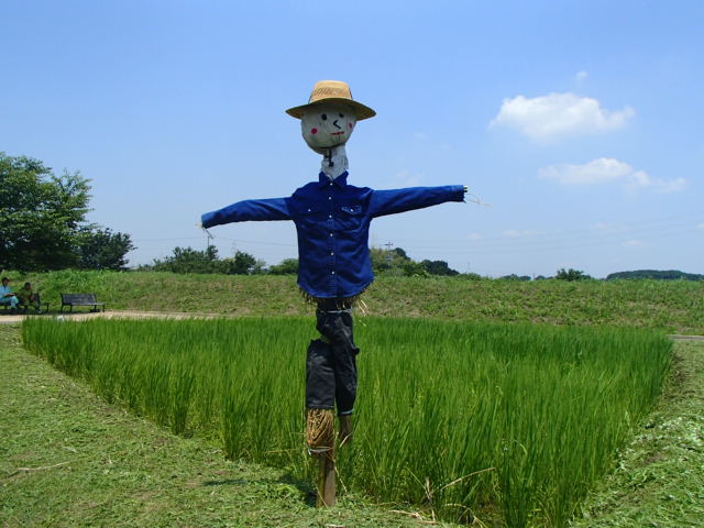 0709kakasi1