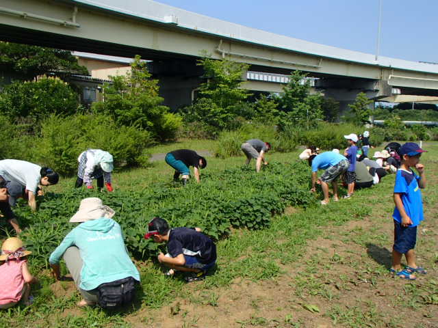 0709hatake