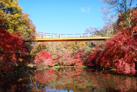 いずみ橋紅葉