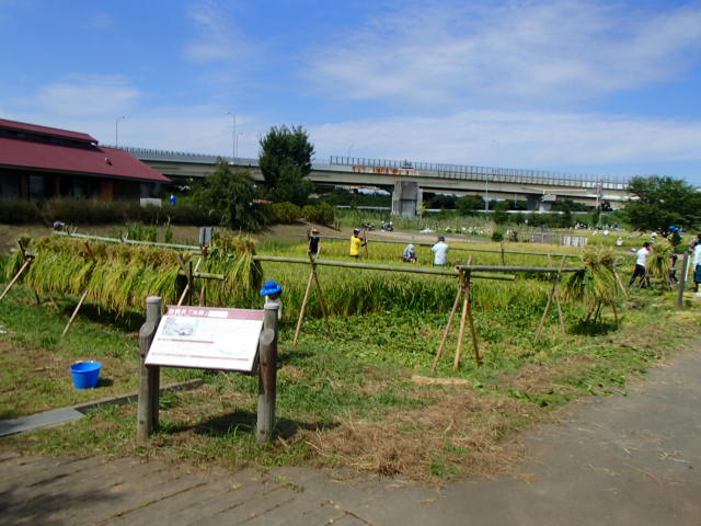 おだ掛け