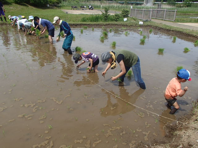 30taue