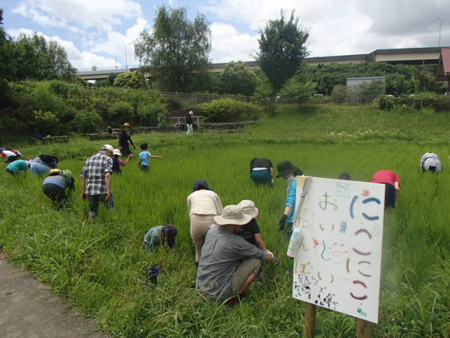 kusatori