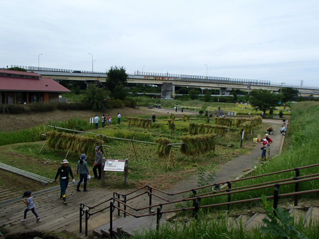 全景
