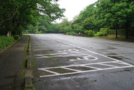 駐車場（泉自然公園）