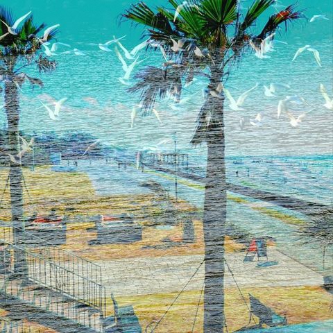 5月写真