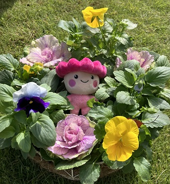 にちじょう4
