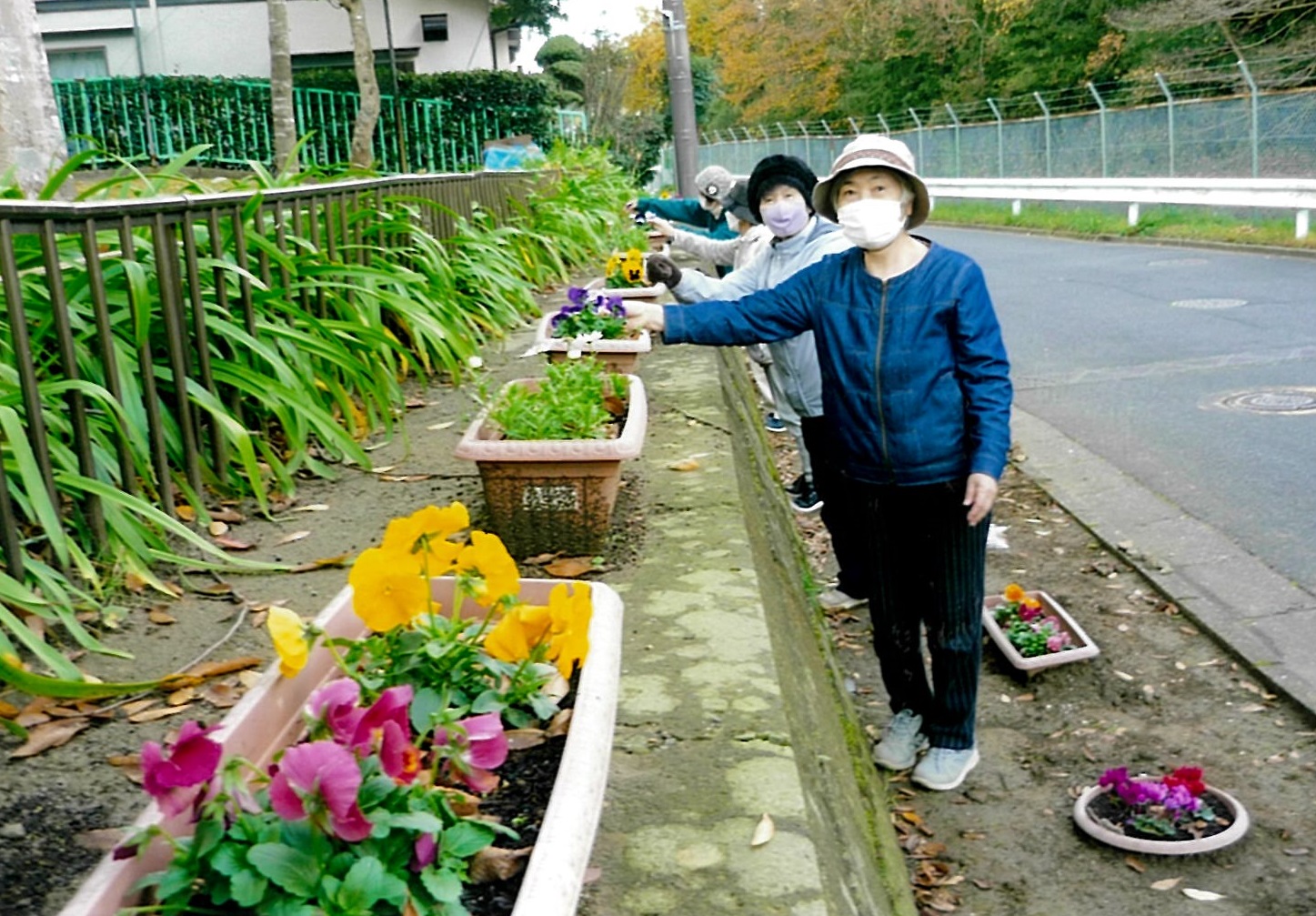 プランターに花植え。