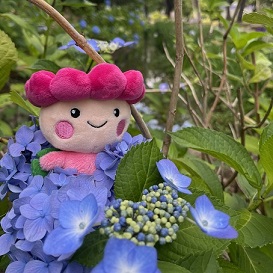 にちじょう1