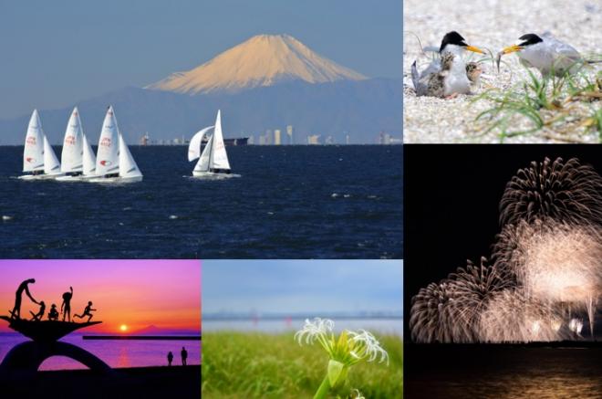 第2回検見川の浜フォトコンテスト