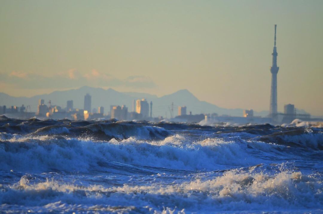海と都市の調和