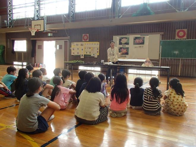 弥生小学校（オオガハス）