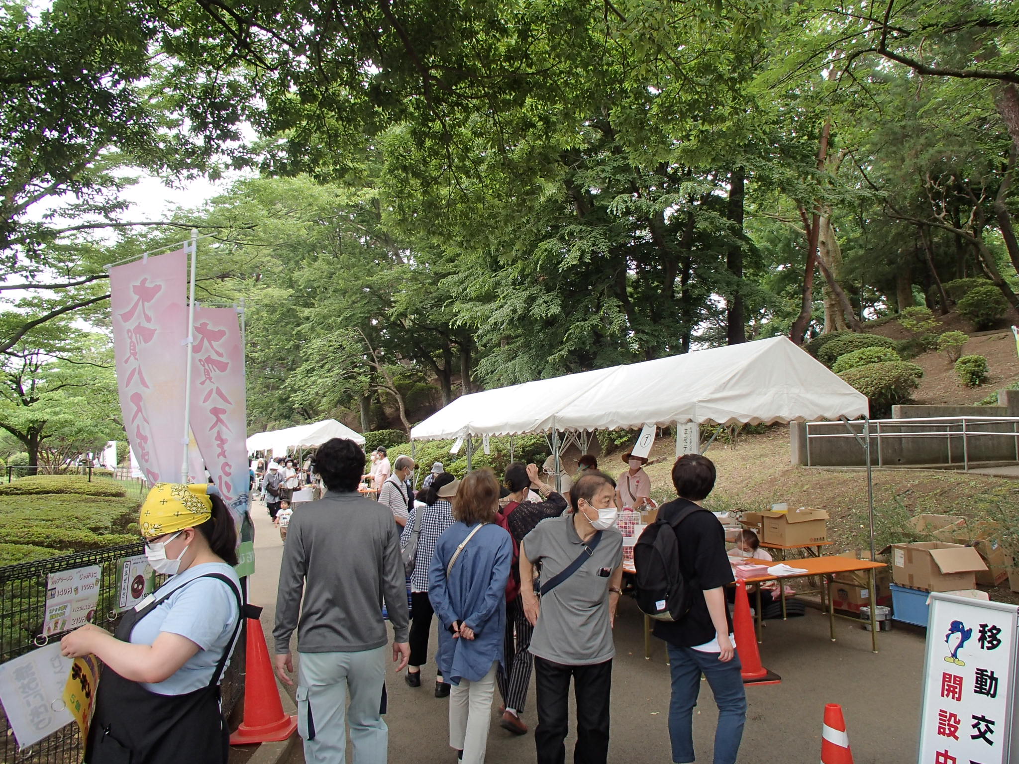 大賀ハス祭り2