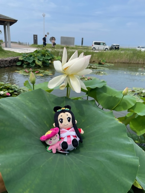 和歌山市との交流