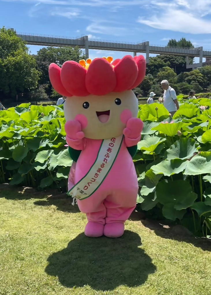 kokusaitoori