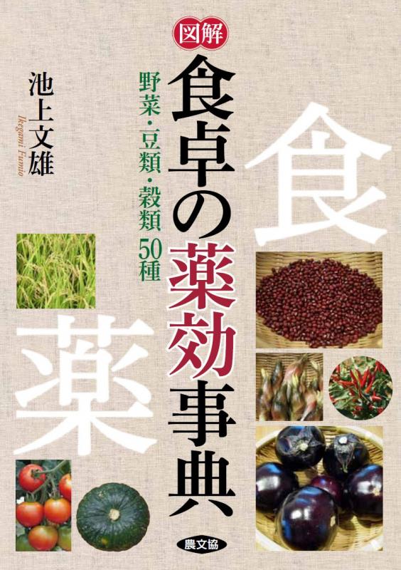 薬効辞典