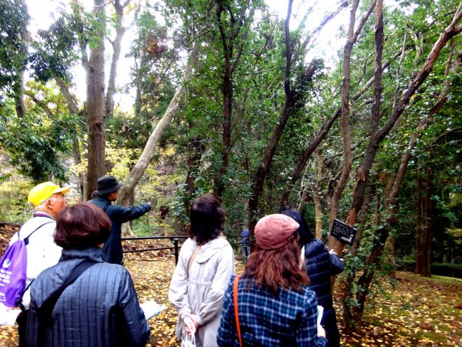 花びと会泉自然公園視察2.