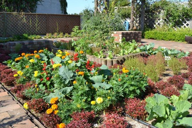 千葉市花の美術館屋上緑化
