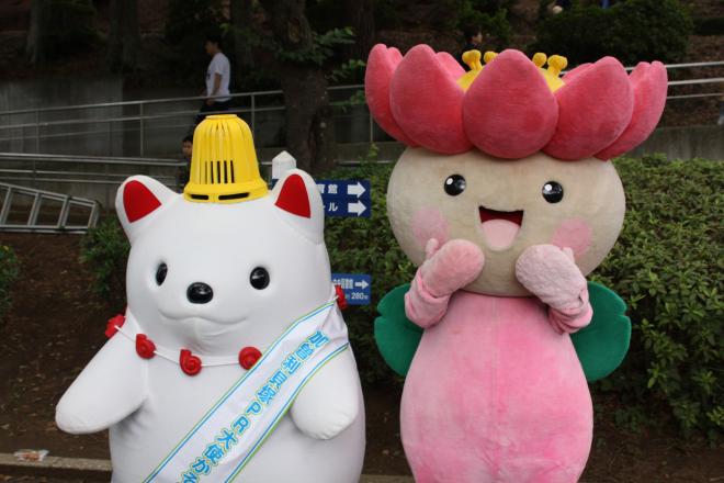 かそりーぬ