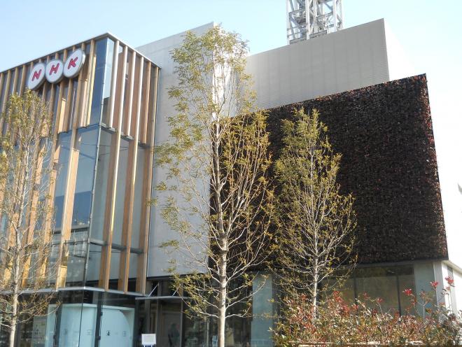 NHK千葉放送局壁面緑化