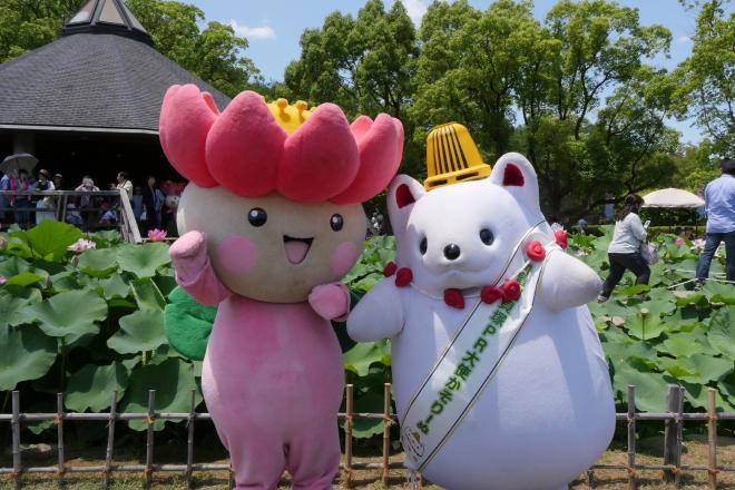 ちはなちゃん&かそりーぬ