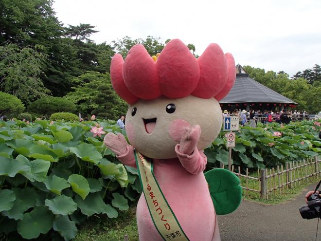 H31大賀ハス祭り３