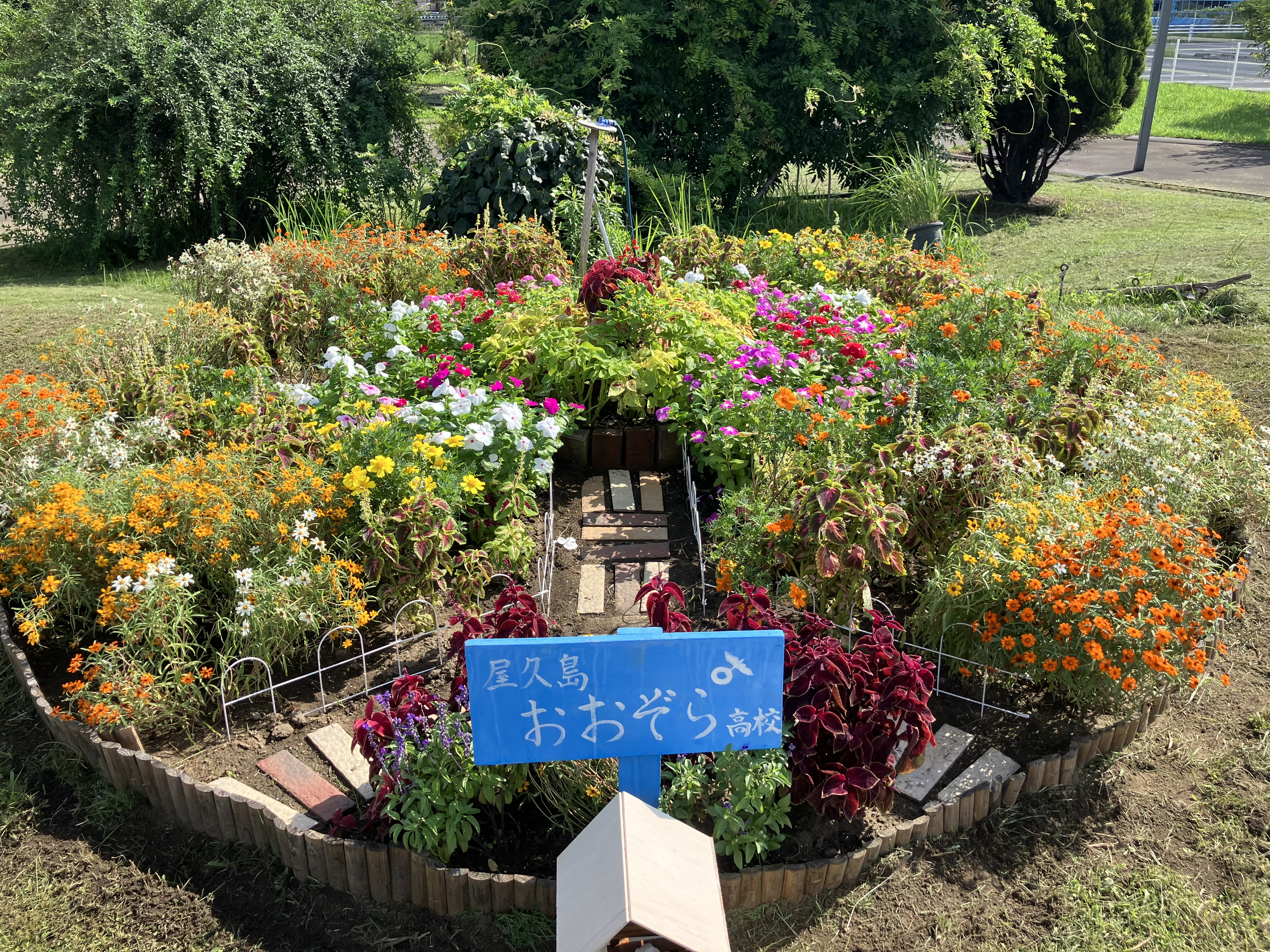 奨励賞3