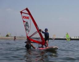 wsf_pic