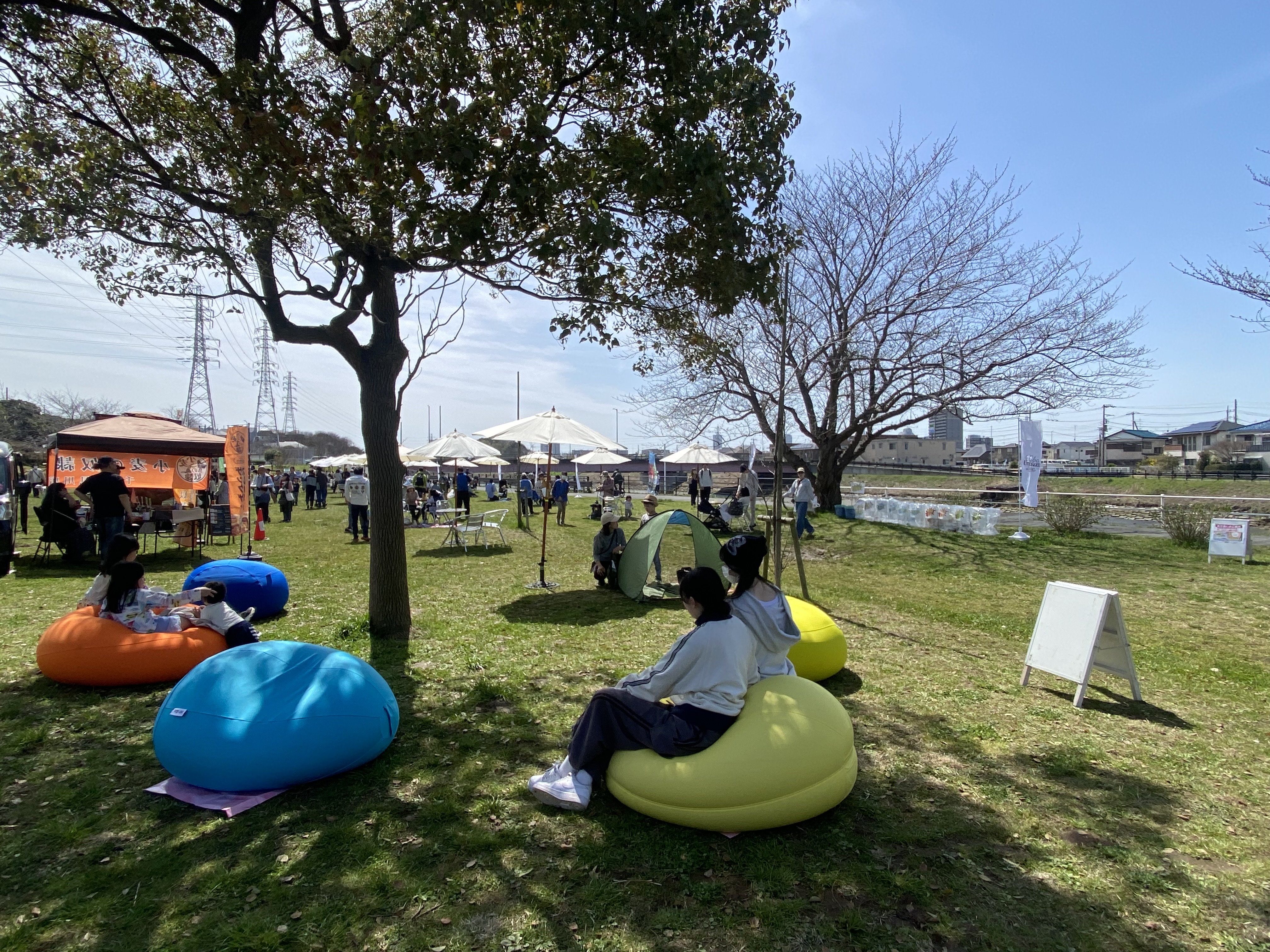 クッション2024