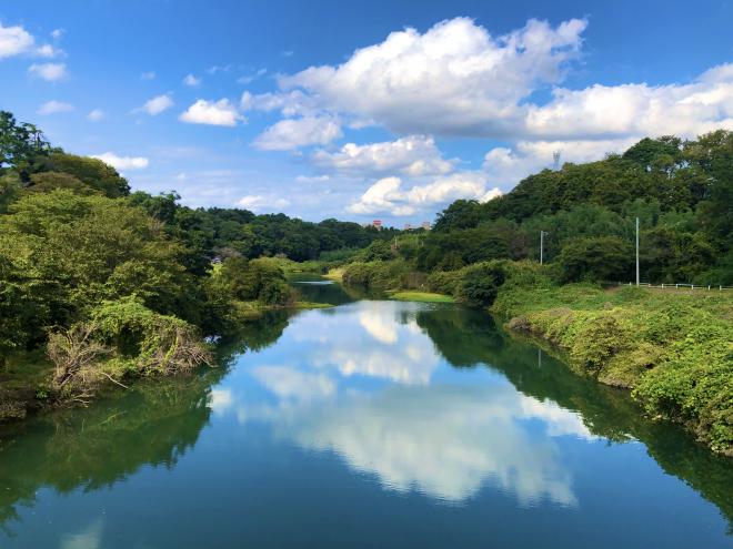 花見川入選2