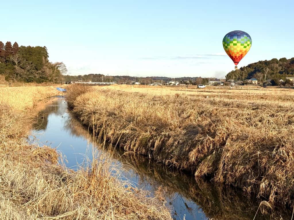 遠くから気球
