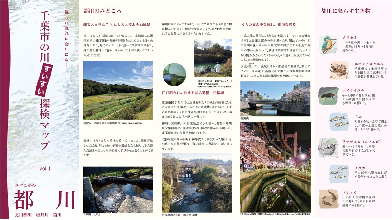 都川