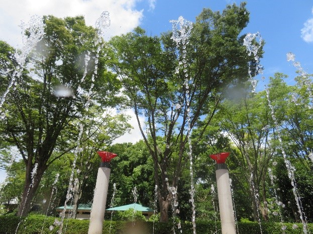 動物公園　噴水3
