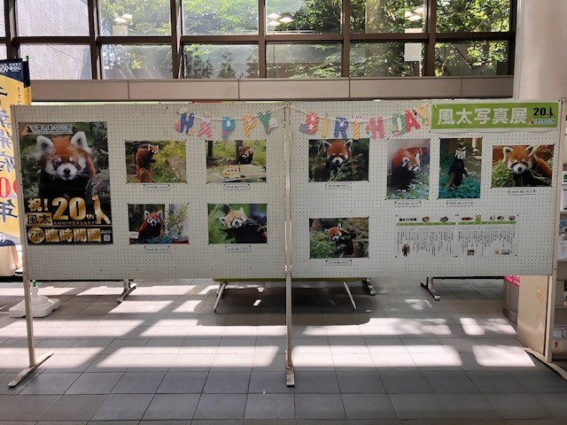 展示1