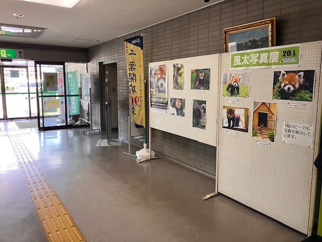 展示2