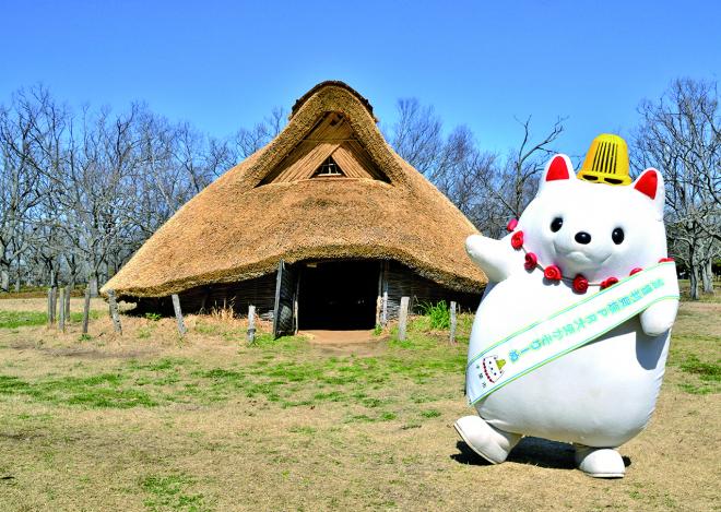 かそりーぬ
