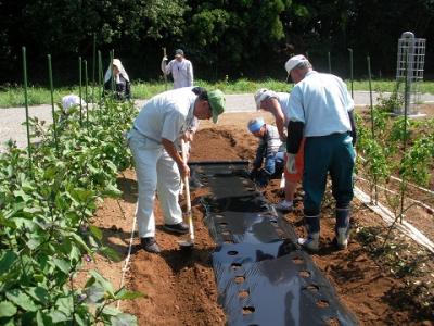 中田都市農業交流センター市民農園