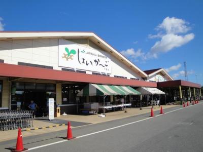しょいかーご