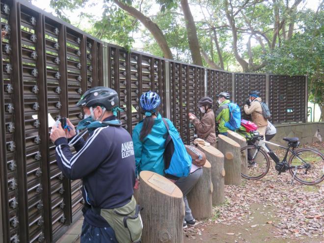 千城台野鳥観察園