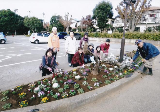 29花壇ボラ
