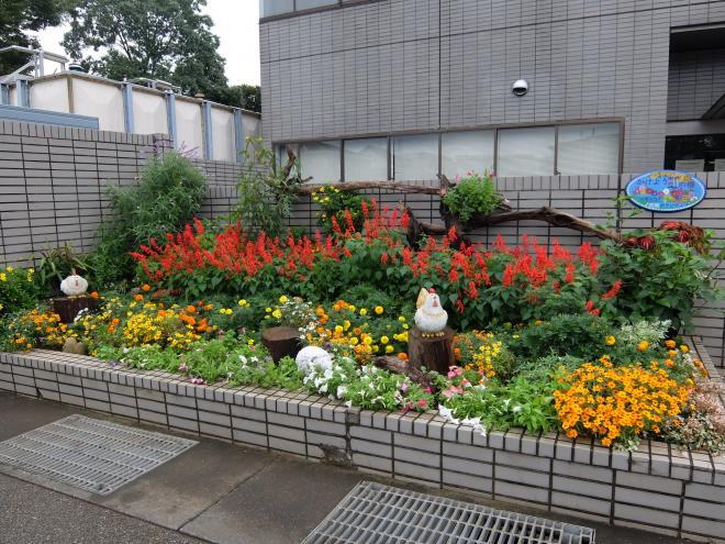 若葉区役所花壇ボランティア