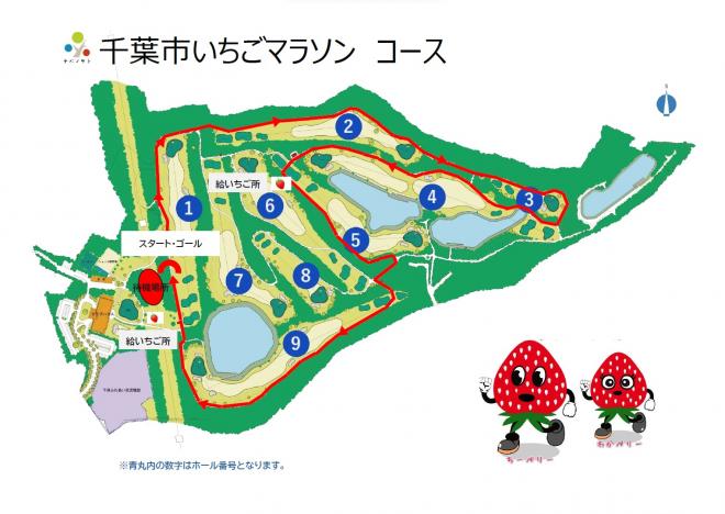 コース案内