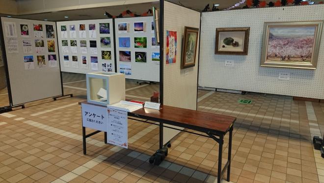 展示2
