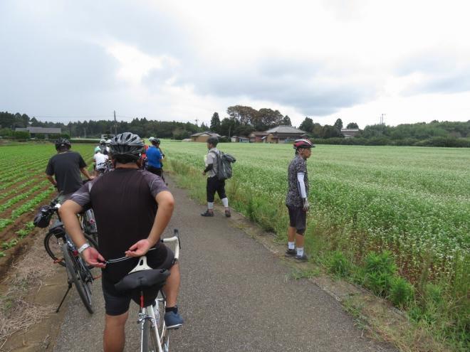 cycling_autumn6