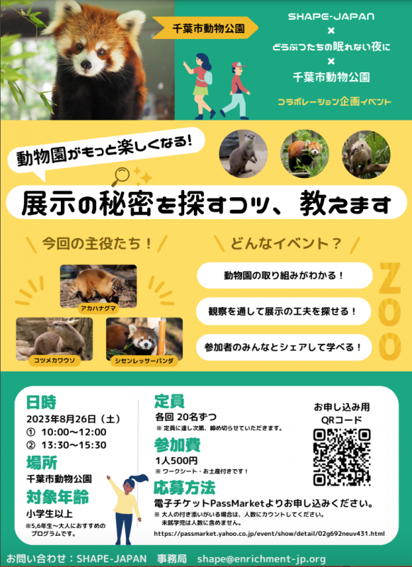 展示の秘密