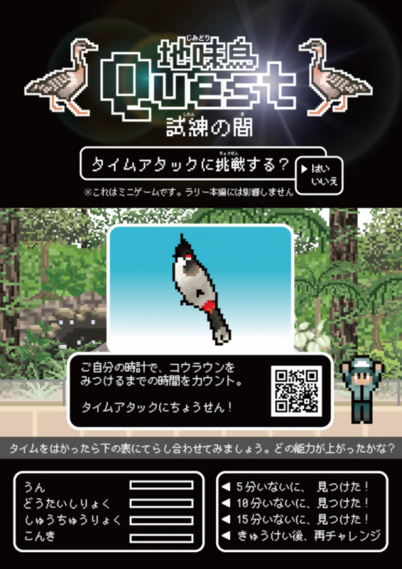 地味鳥クエスト
