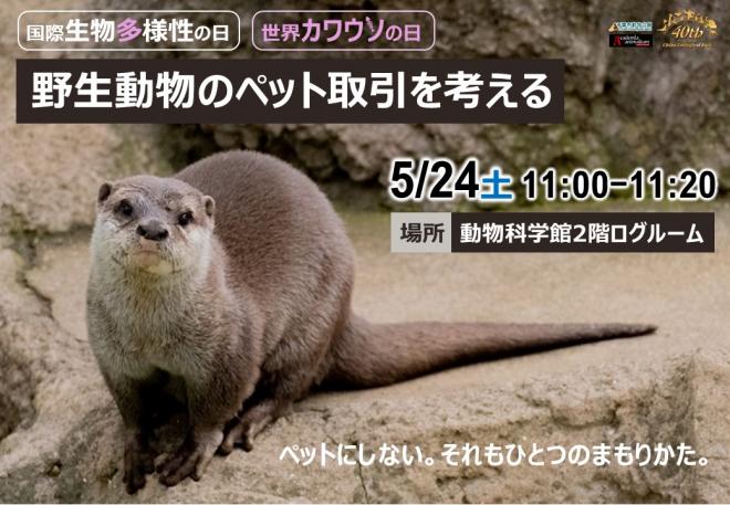 ペット取引