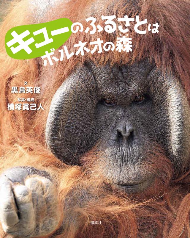 写真絵本表紙