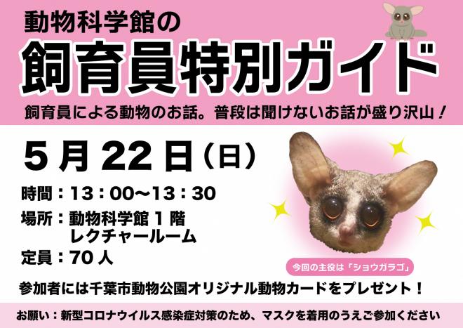 20220522kagakukangaido