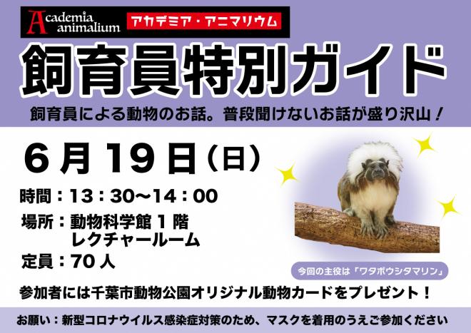 科学館ガイド6月